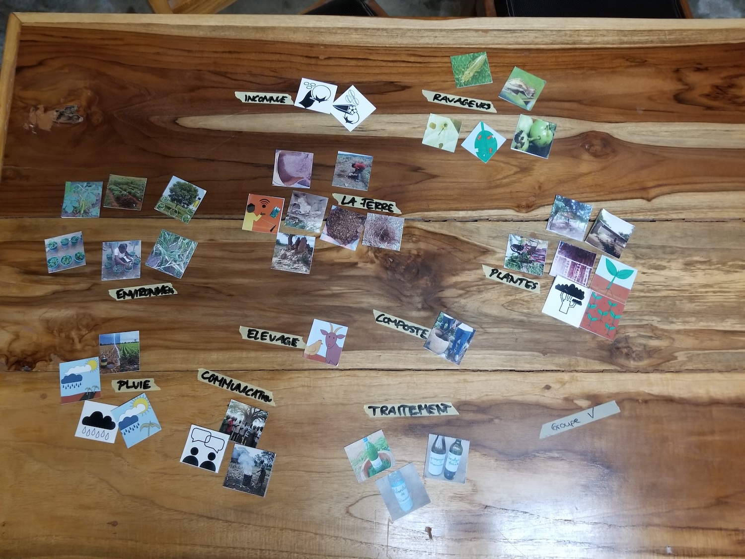 Minodu Card Sorting Game Workshop